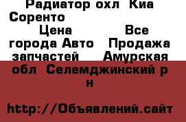 Радиатор охл. Киа Соренто 253103E050/253113E050 › Цена ­ 7 500 - Все города Авто » Продажа запчастей   . Амурская обл.,Селемджинский р-н